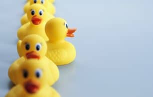 ducks in a row