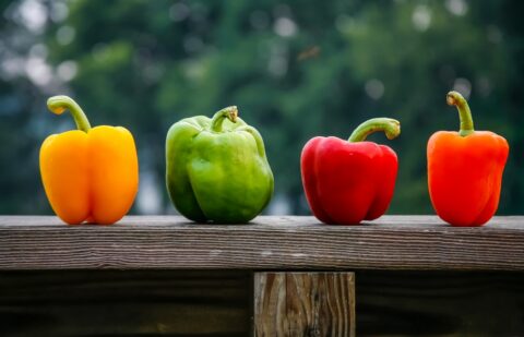 Four peppers