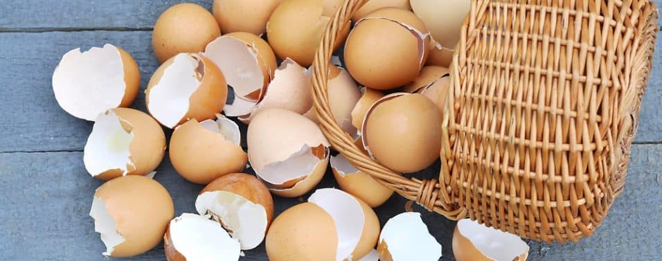 broken eggs in a basket