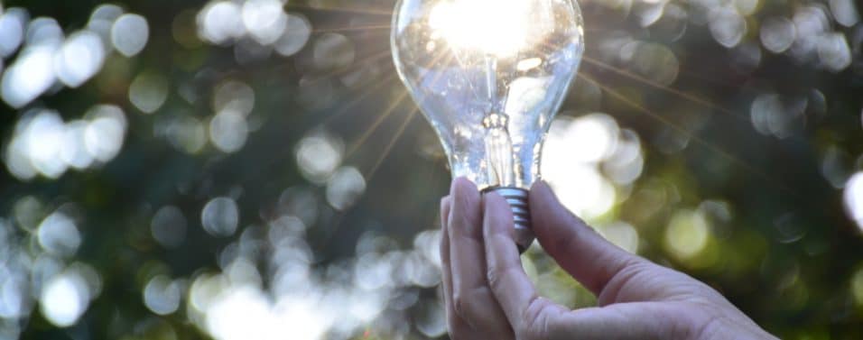 light bulb in hand