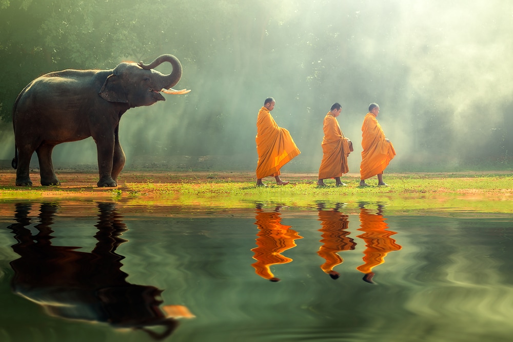 Elephants and monks