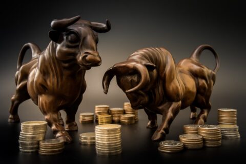 Bull Coins