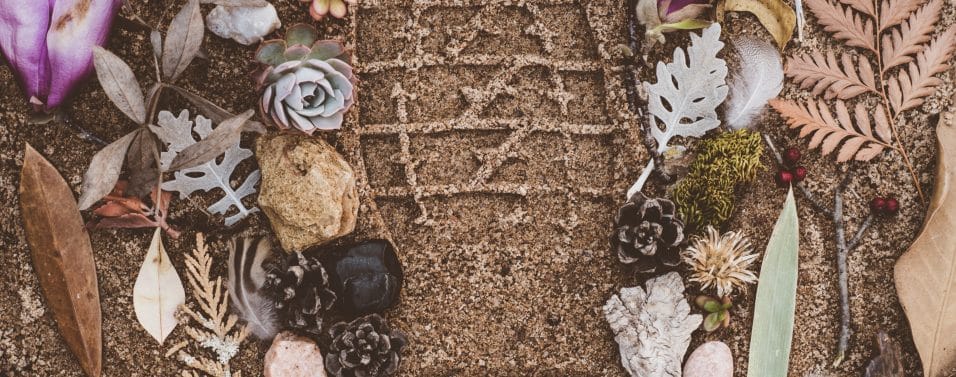 footprint in sand with flowers