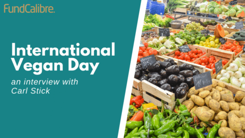 video day video interview