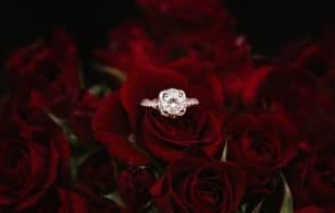 diamond ring in red roses