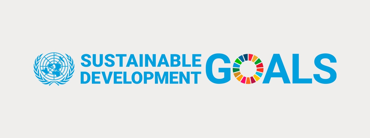 The complete investment guide to the UN Sustainable Development Goals ...