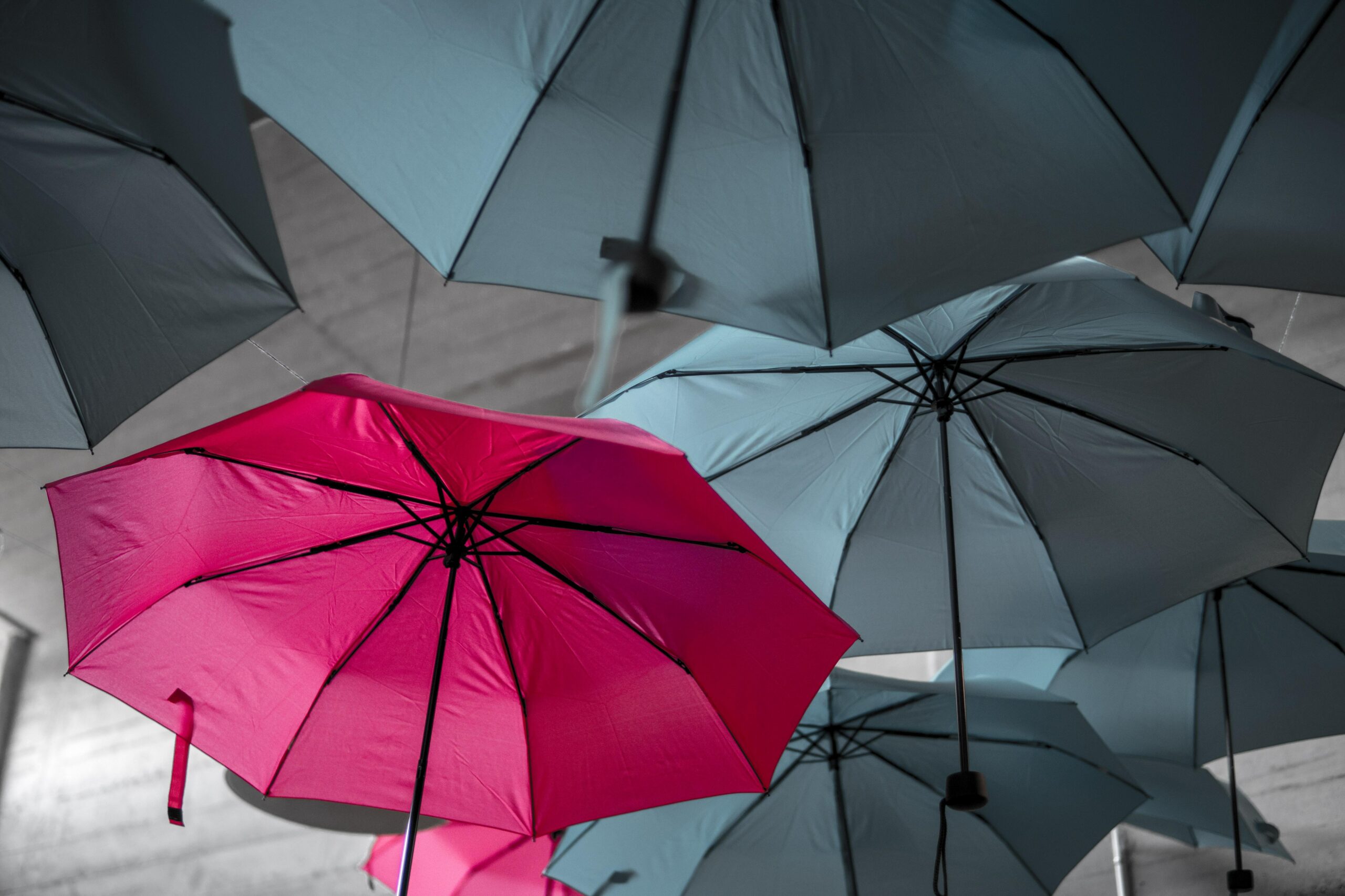 one contrarian red umbrella in amongst grey umbrellas