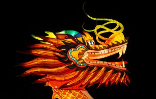 a Chinese dragon symbolising the Chinese culture