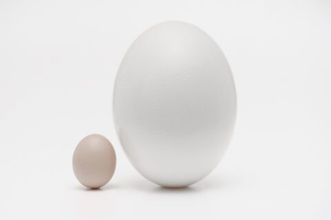 a big egg and a small egg leaning together