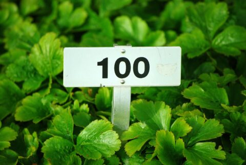 a sign with 100 on a green background