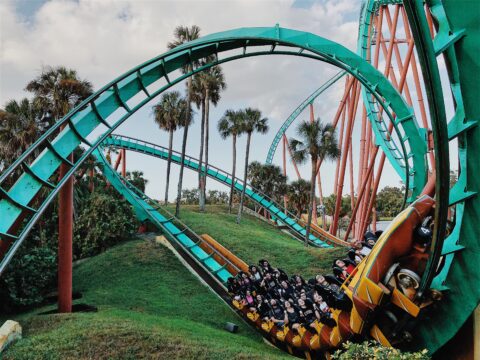 lots of ups and downs and volatility on a rollercoaster