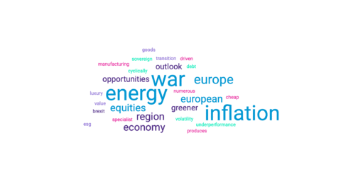 europe's pessimistic word cloud