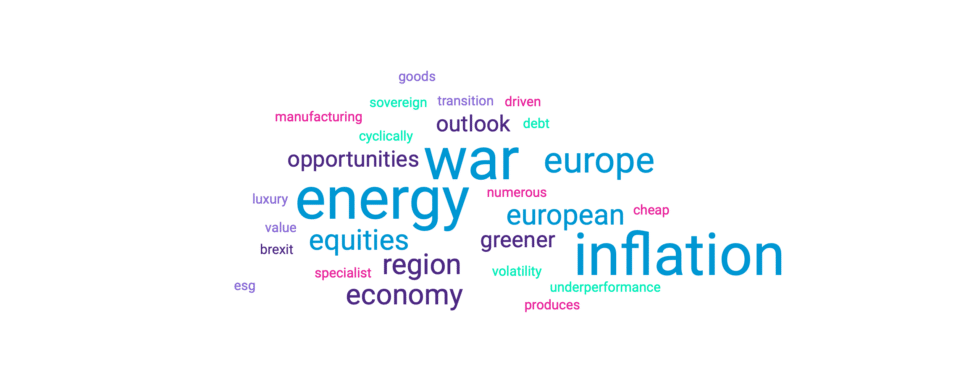 europe's pessimistic word cloud