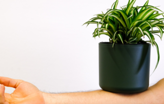 a human arm balancing a plant pot and plant on it