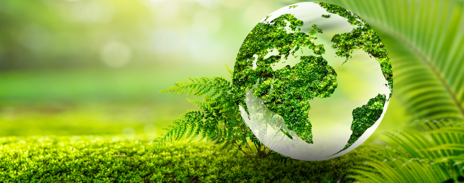 a green earth in a forest