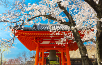 Japanese blossom in front of a Japanese Temple gate